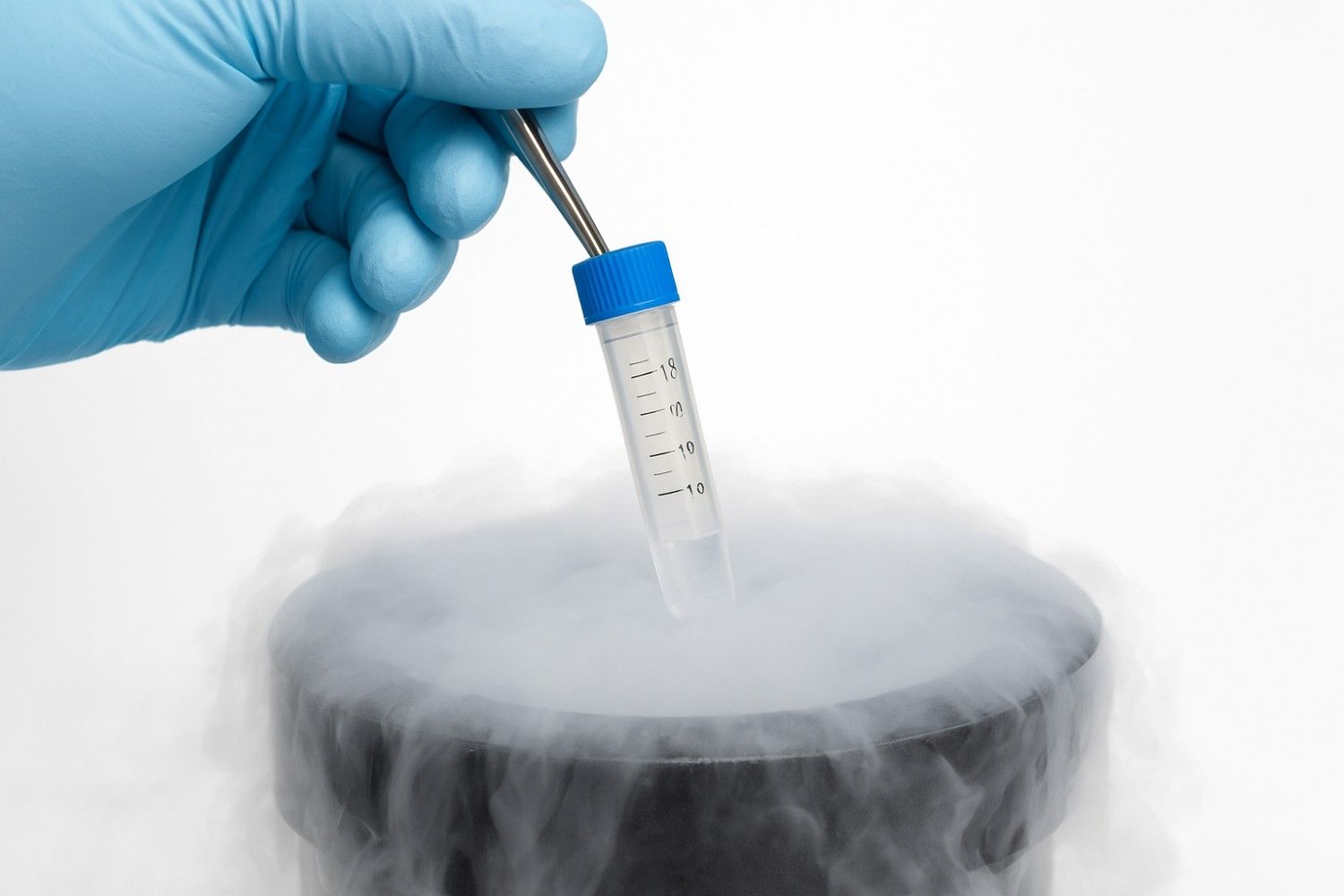 Egg Freezing Process